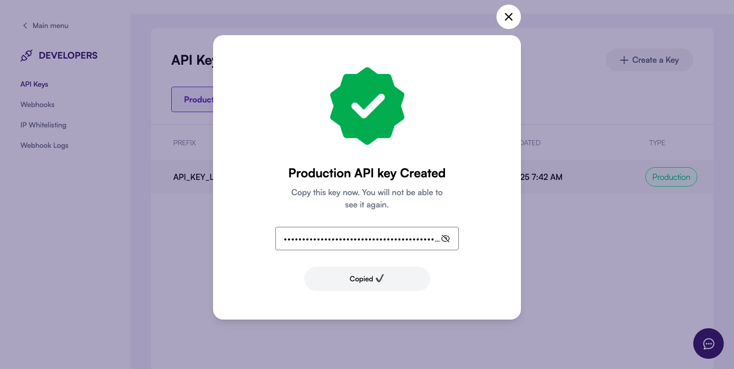 Generated API key displayed for copying