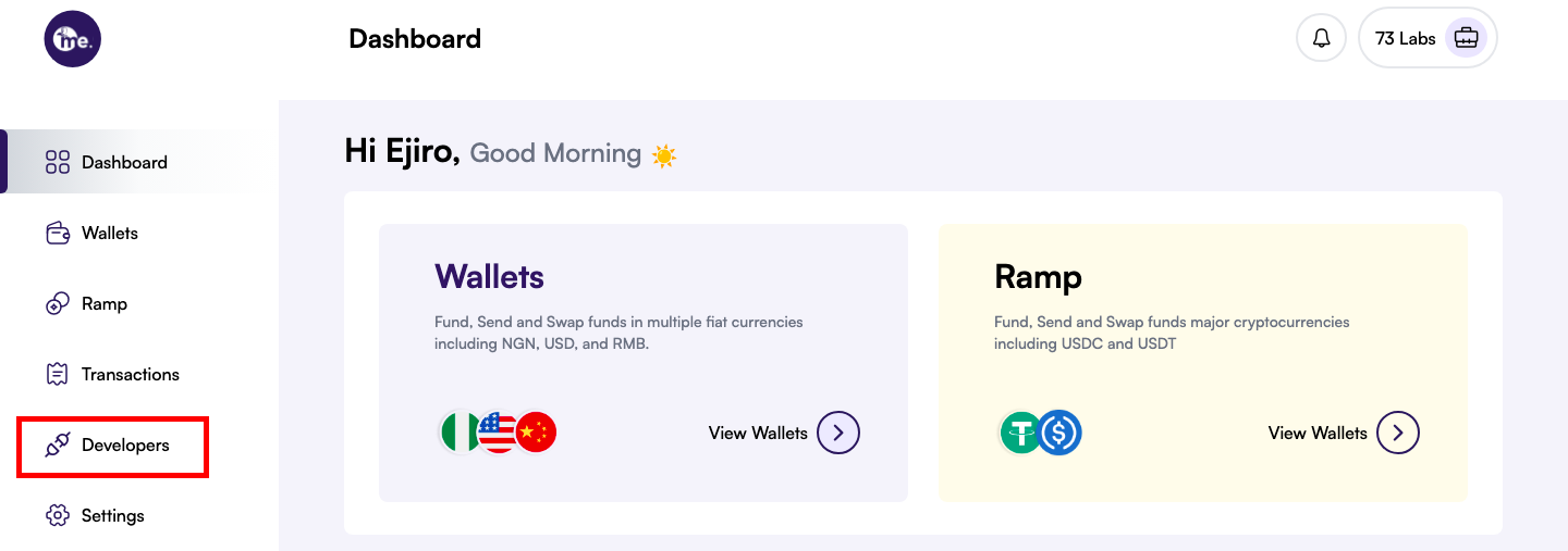 Developer section in the meCash dashboard