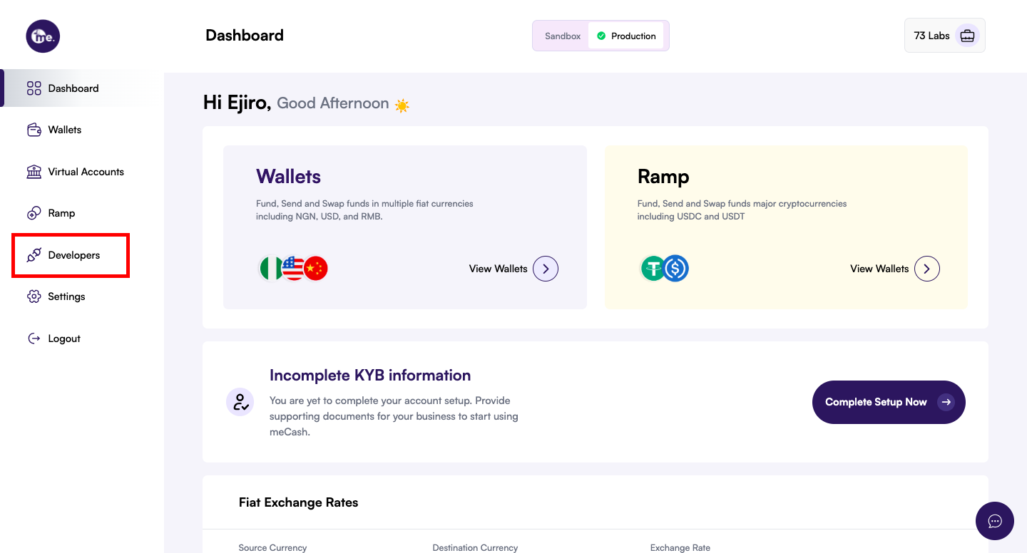 Developer section in the meCash dashboard